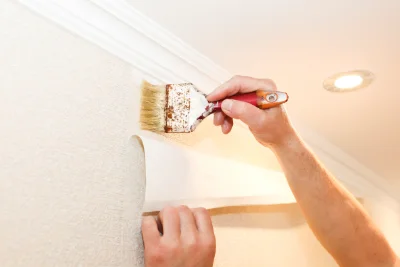 Pose de papier peint à Mauves — revêtements muraux et toiles de verre